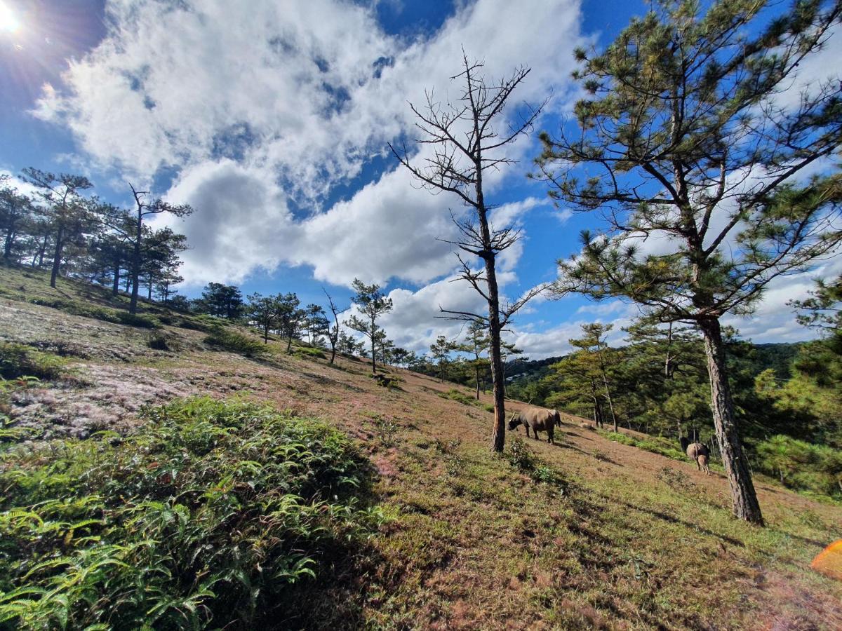 Mon Bac Home Dalat Eksteriør bilde